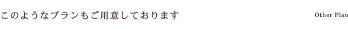 このようなプランもご用意しております